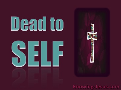 Romans 6:11 Dead to Self (maroon)